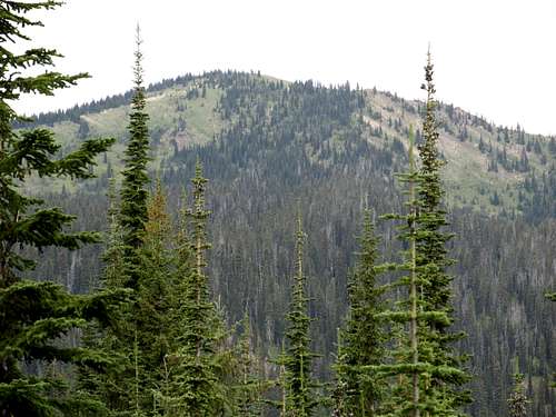 Moose Peak