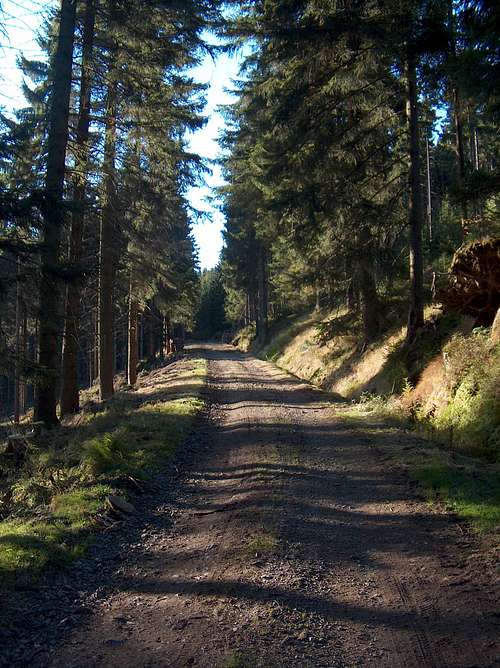 Trail on Grzbiet Lasocki