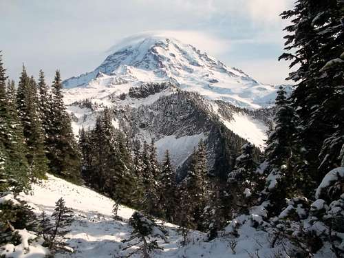 Mount Rainier from the ridge