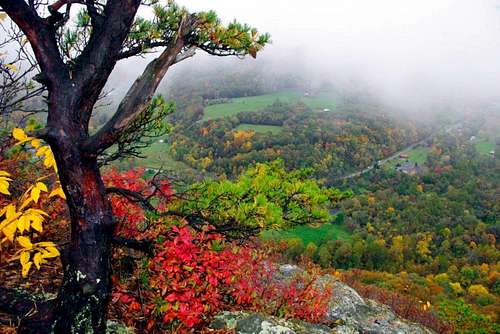 Fall Colors on the Seneca Rocks Trail, West Virginia
