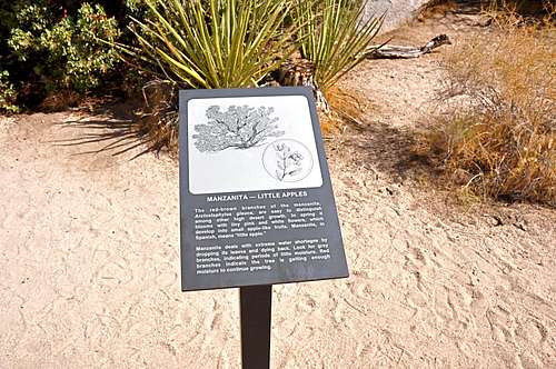 Manzanita plant sign along the loop trail