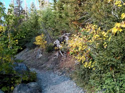 Fall colors at the trailhead of Ingalls Pass