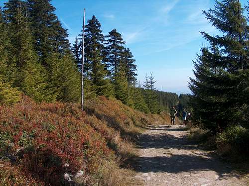 Trail along Kowarski Grzbiet