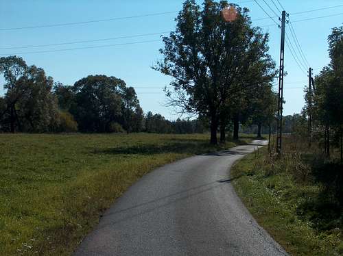 Bóbr cycling track near Sędzisław
