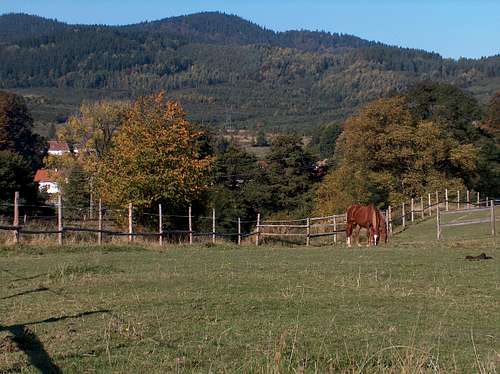 Trójgarb and horses