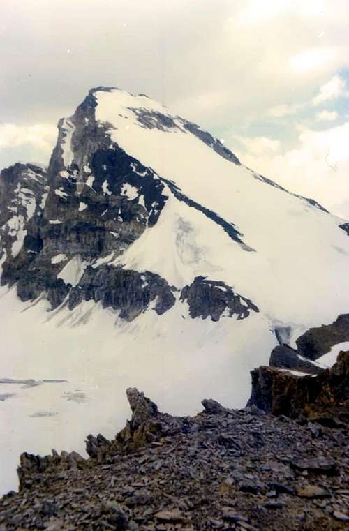 Tsanteleina from Goletta's Peak 1976