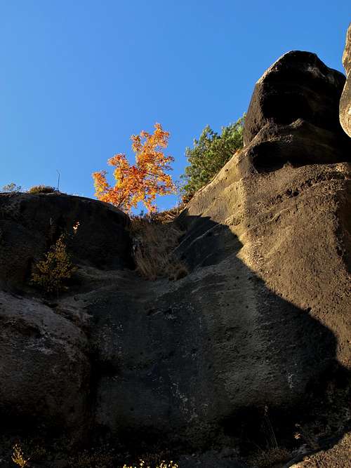 Sandstone and autumn colors on Mount Oybin