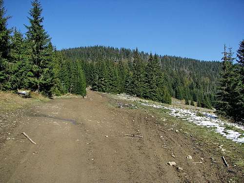 View toward Turbacz top