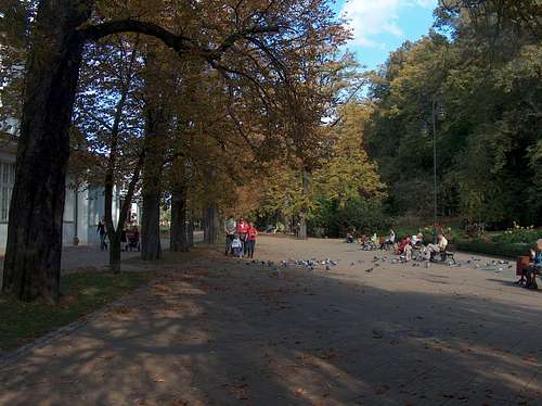 Szczawno-Zdrój, Park Zdrojowy