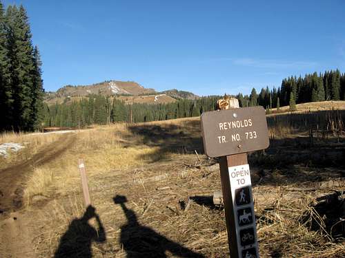 Reynolds Trail