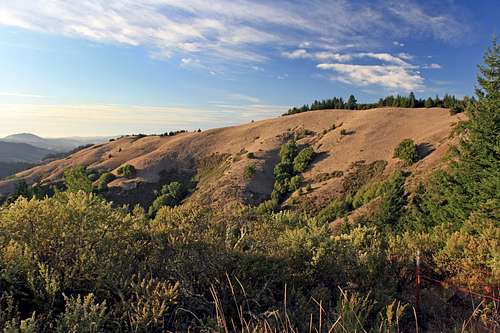 Hills of west Marin