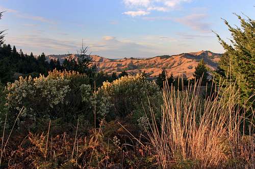 Hills of west Marin