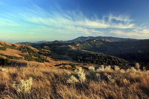 Mt. Tam from San Geronimo Ridge