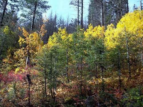 Fall splendor