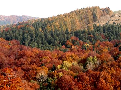 Mount Przedziwna - Our hike – October 29, 2011.