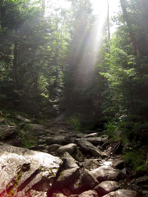 Sun shines down on Monroe Trail