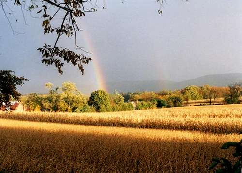 Golden glow over the fields...
