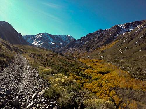 Laurel Creek Trail