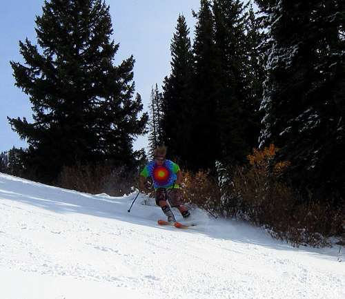Troy skiing Alta 2011