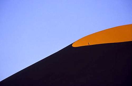 Dune Walker