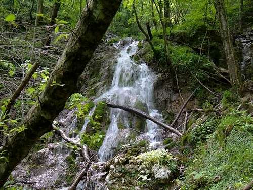 A water fall in the wood of...