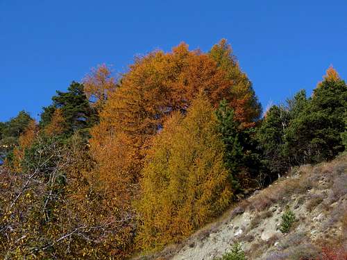 Autumn Colors in the Aosta Valley