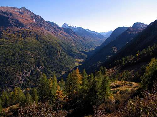 Autumn Colors in the Aosta Valley 