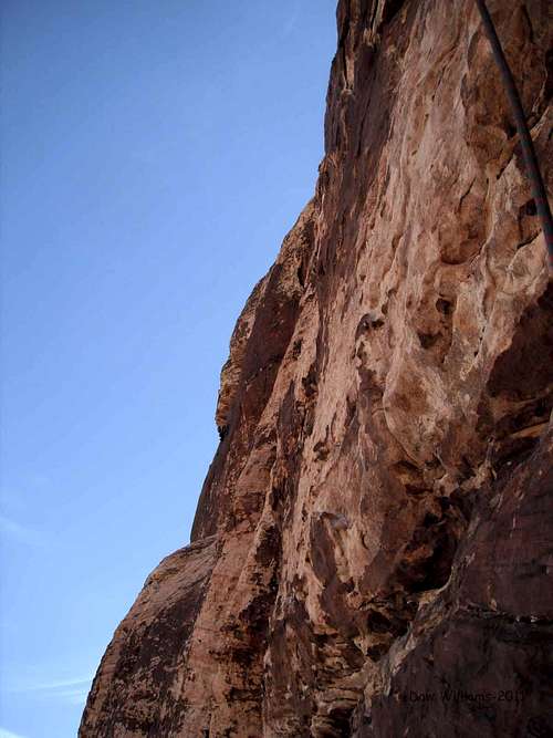 Peyote Power, 5.9