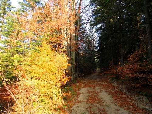 Mount Zamczyska - Our hike – November 9, 2011
