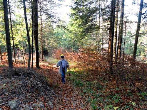 Mount Zamczyska - Our hike – November 9, 2011