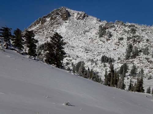 Eagle Peak snowshoe summit, 11-12-2011