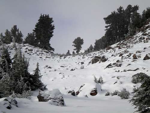Eagle Peak snowshoe summit, 11-12-2011 
