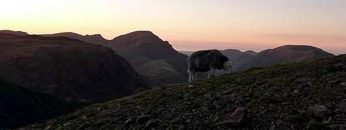 View to Ennerdale and Pillar