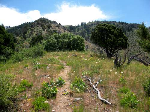 Saddleback Mountain