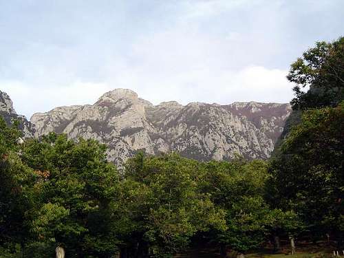 Monte Terminio (Monti Picentini)