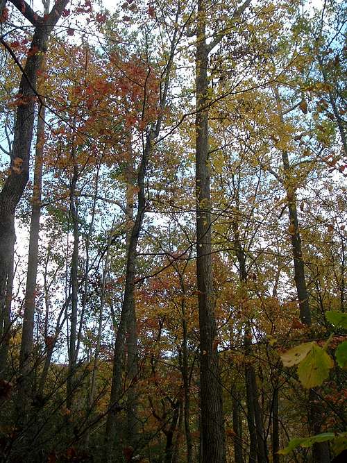 October on Little Stony Creek Trail
