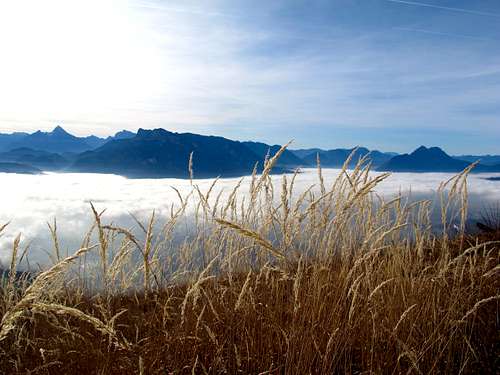 Grass, fog and mountains...