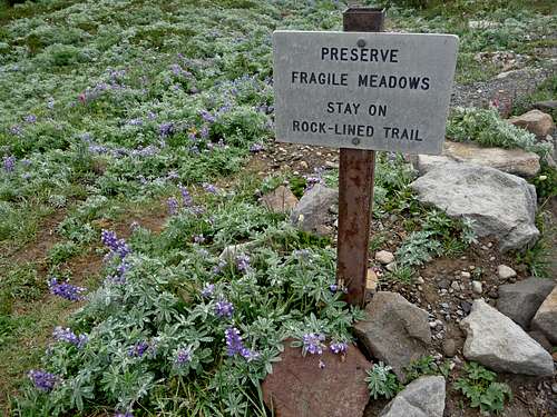 Preserve Fragile Meadows