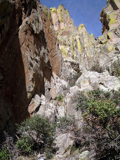 Looking up the lower part of Boyer's Chute