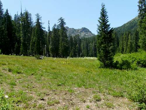 Polar Bear Mountain