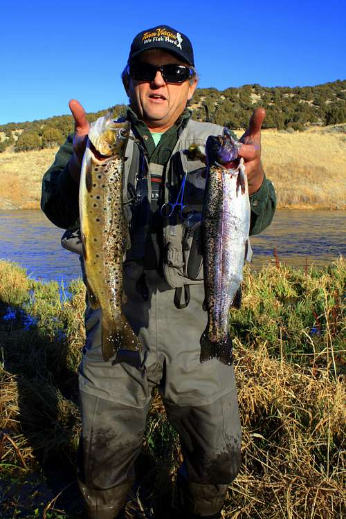 Rainbow and Brown Trout from the Weber River