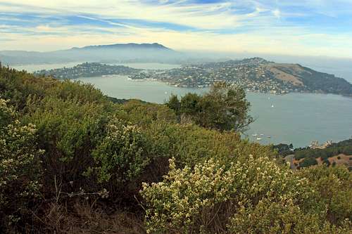 Mt. Tam and the Tiburon peninsula from Mt. Livermore