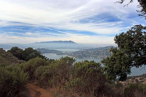 Mt. Tam from Mt. Livermore
