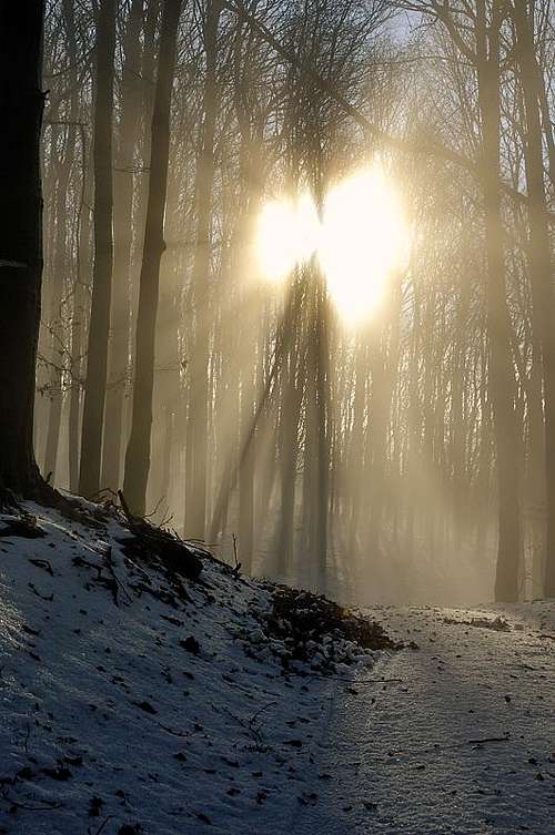 Sun fighting with a fog
