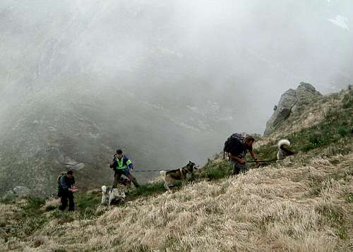 Parmesan Apennines - Monte Matto ascent