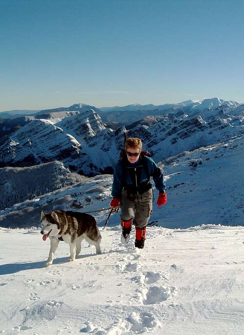 Parmesan Apennines - Dog trekking in winter time