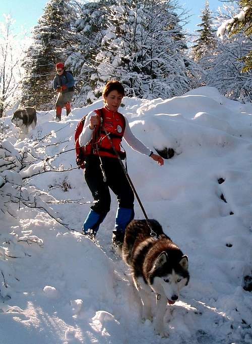 Parmese Apennines - Dog trekking in winter time