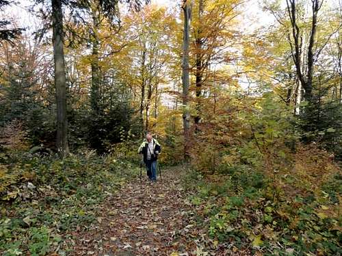 Mount Przedziwna - Our hike – October 29, 2011