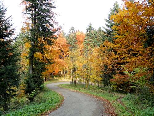 Mount Przedziwna - Our hike – October 29, 2011