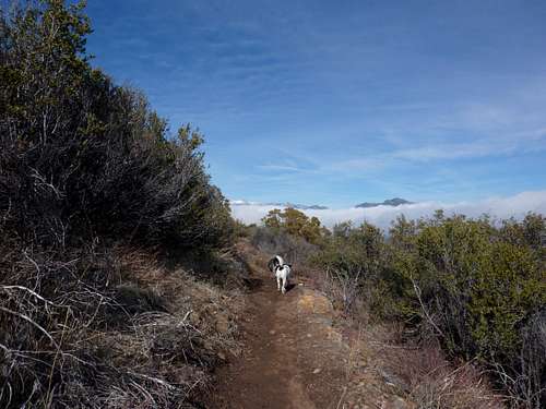 Romona Trail